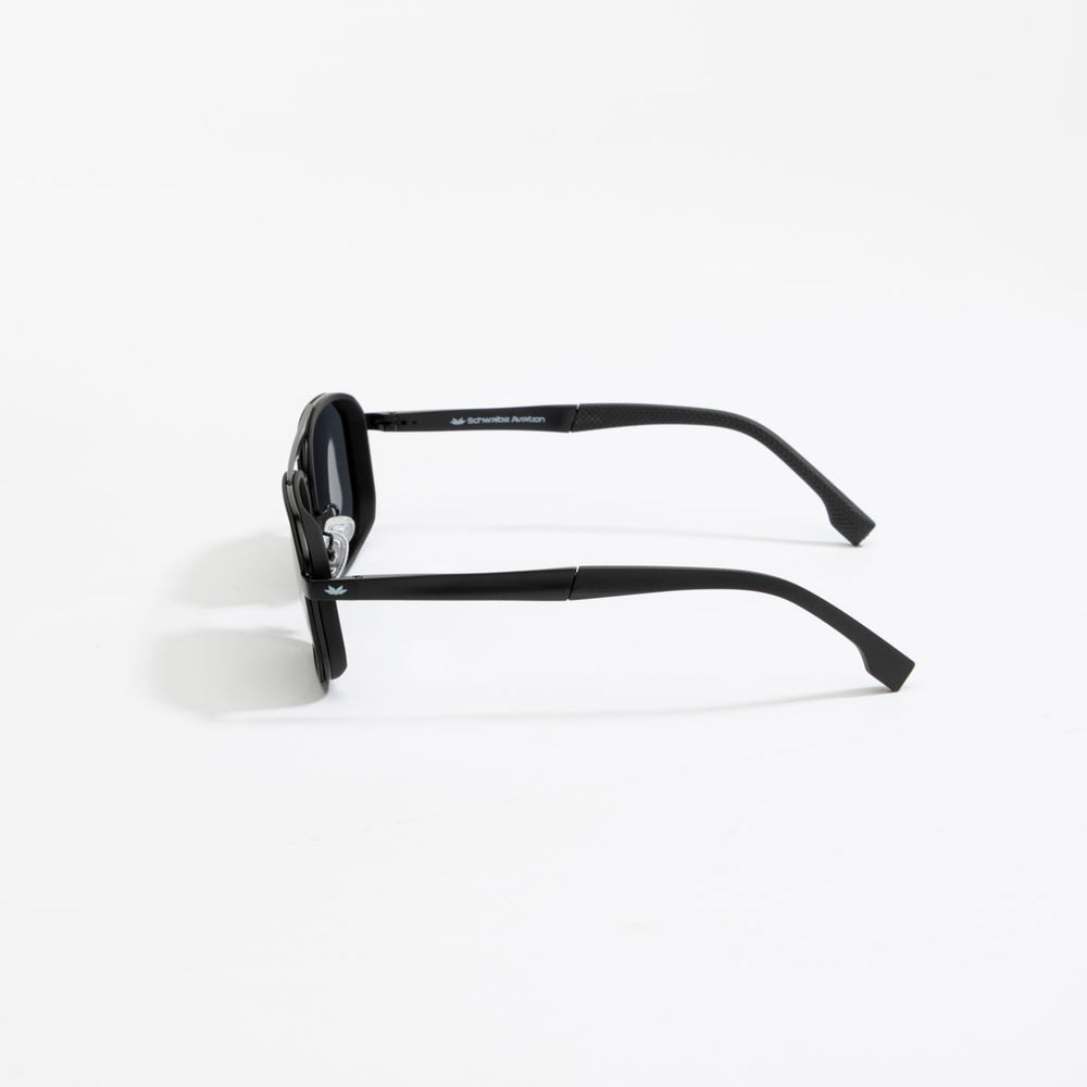 Schwalbe Aviation Horizon 360