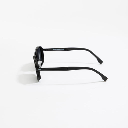 Schwalbe Aviation Horizon 360