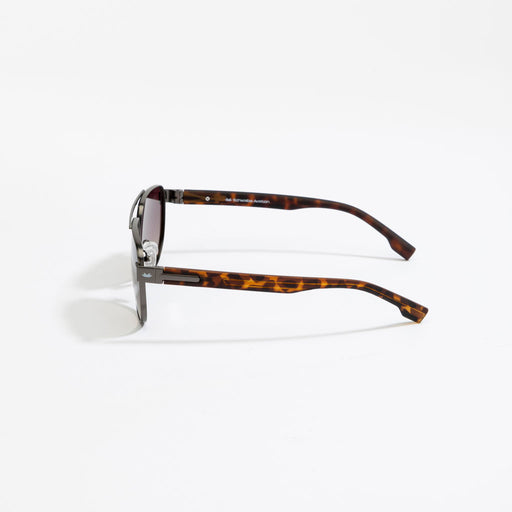 Schwalbe Aviation Apex