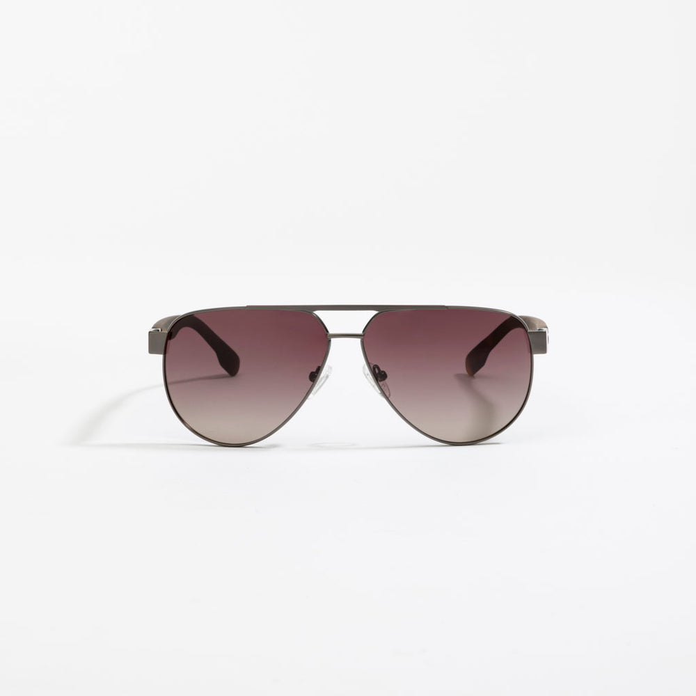 Schwalbe Aviation Apex