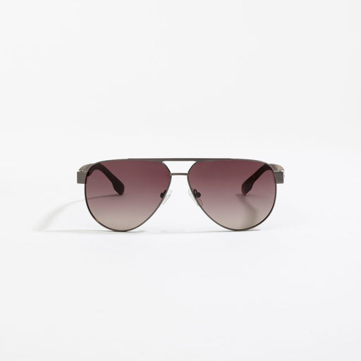 Schwalbe Aviation Apex